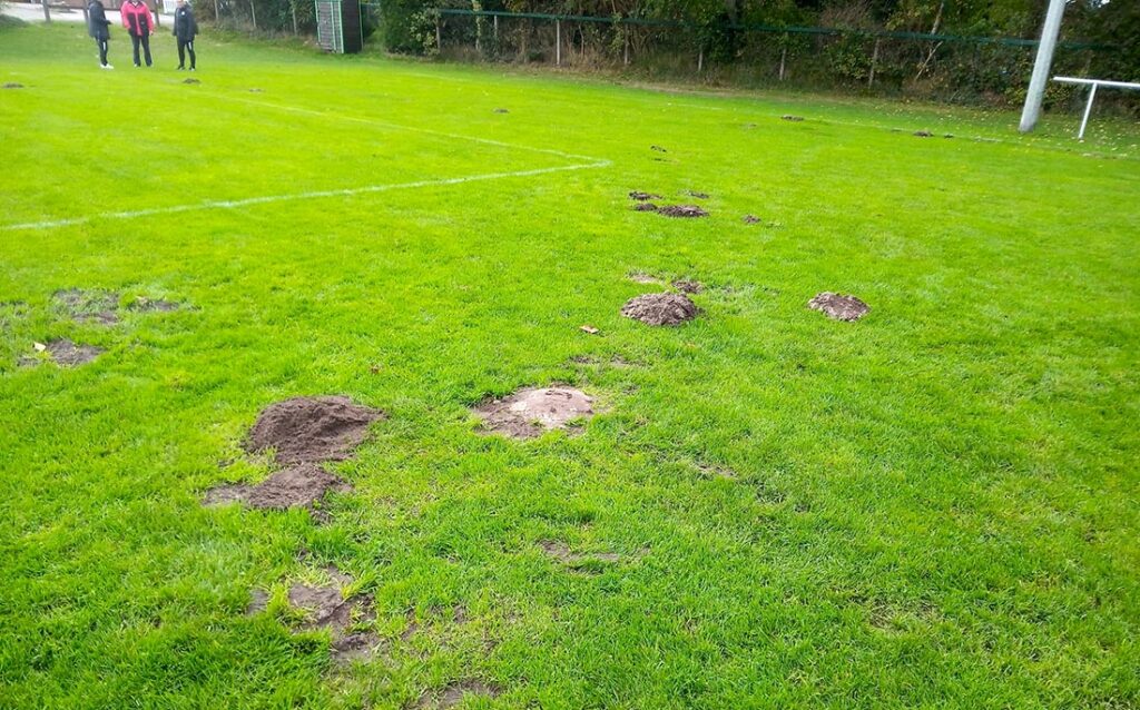 Ein gut bespielbarer Rasenplatz sieht anders aus. Oder? © hfr privat Ein gut bespielbarer Rasenplatz ssieht anders aus. Oder? © hfr privat